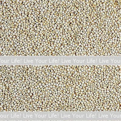 Comment Mesurer Le Quinoa Sec Comparé Aux Cuits?