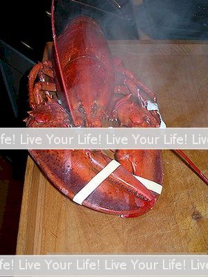 How To Press Cook Lobster