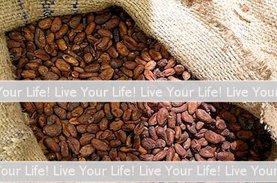 Cara Memanggang Kacang Kakao