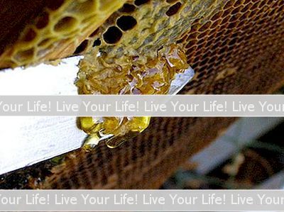 Cara Dapatkan Honey Out Of A Honeycomb