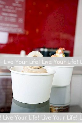 Frozen Yogurt È Un Prodotto Lattiero-Caseario?