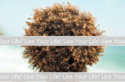 Paras Tapa Leikata Afro-Hiukset